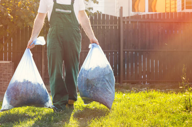 Why Sydney Homes and Businesses Are Outsourcing Their Waste Problem